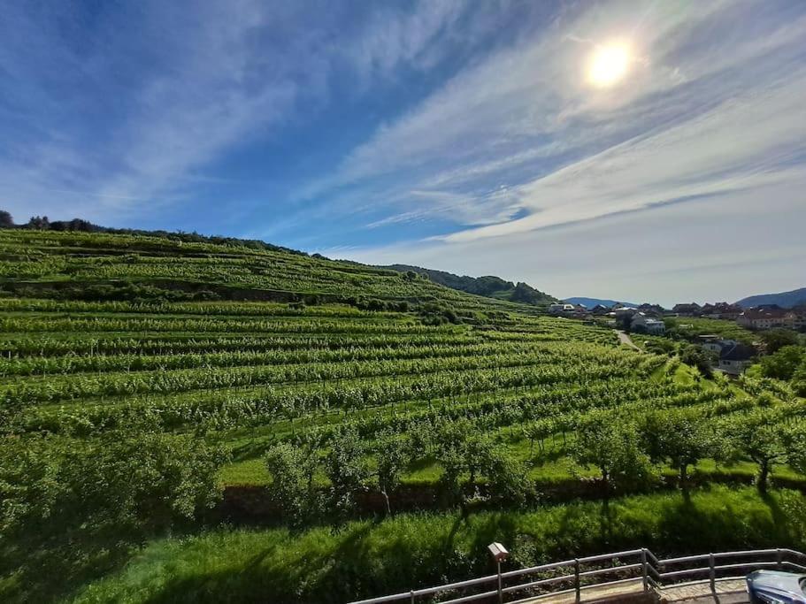 Wohnung In Der Wachau Weissenkirchen in der Wachau Eksteriør bilde